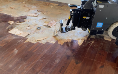 Fast and Safe: SLG Concrete Coatings’ Floor Demolishing Service Gets the Job Done Right